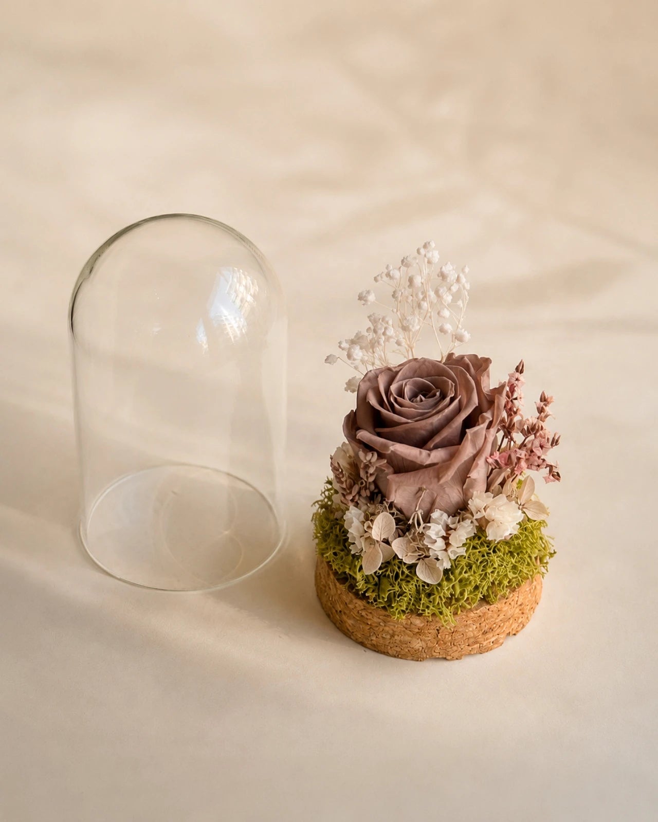 composizione di fiori stabilizzati e fiori secchi con rosa stabilizzata in campana di vetro e base di sughero colore mocha mousse - roma