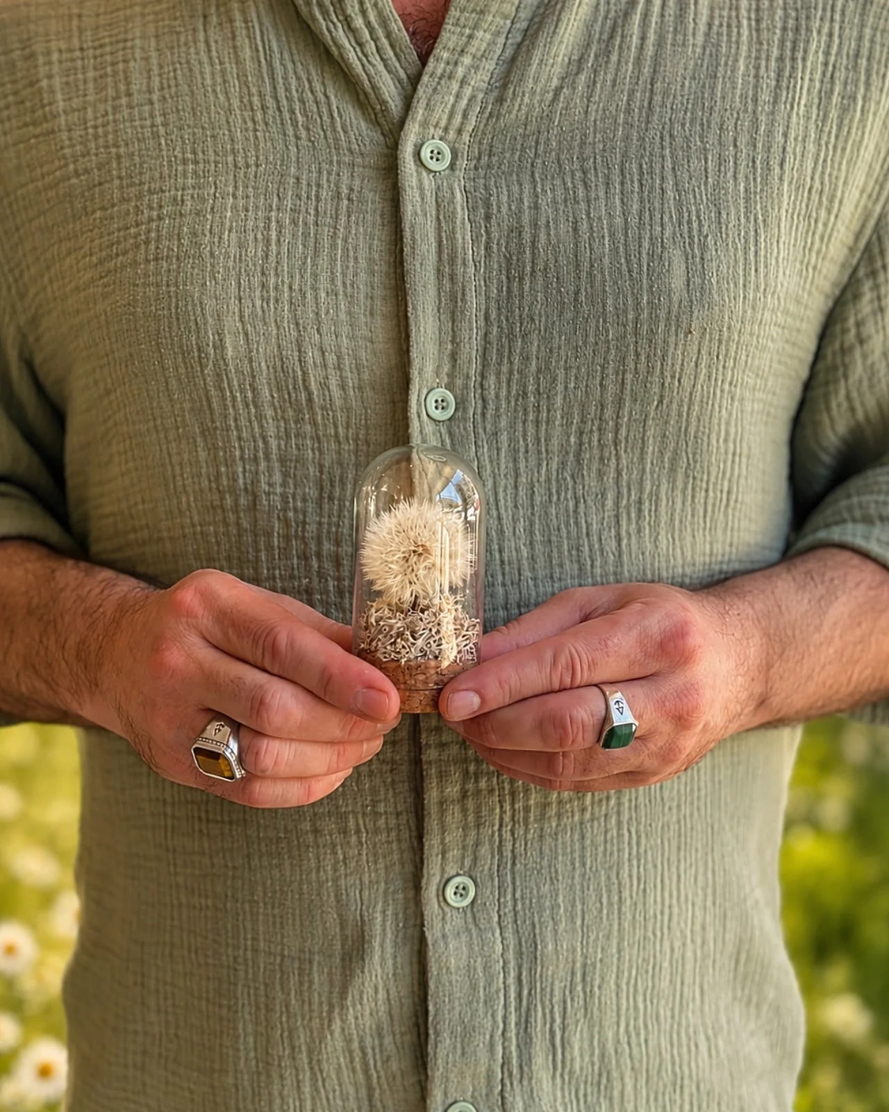 fiore dei desideri ( dandelion ), soffione preservato, versione muschio avorio