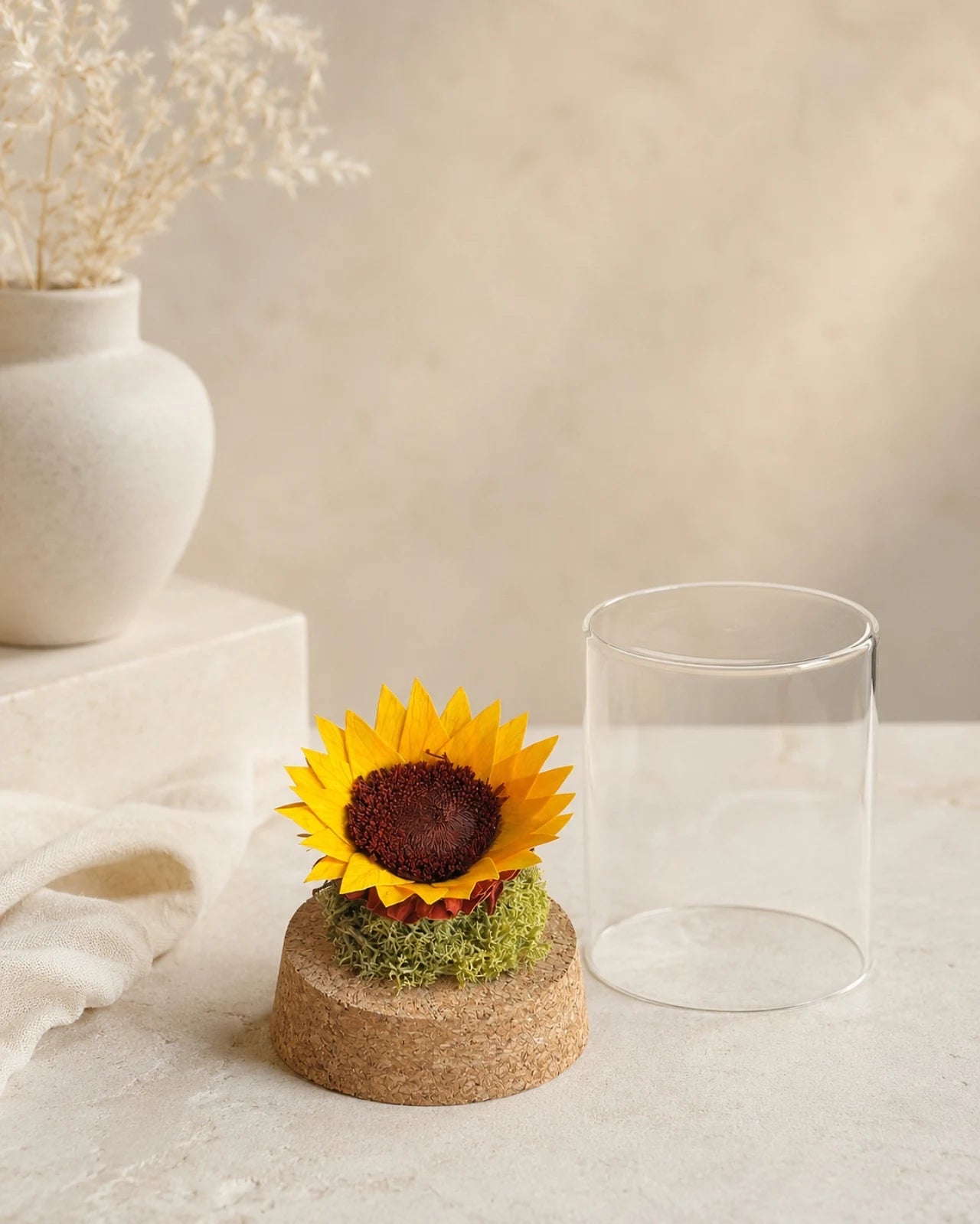 Fiore stabilizzato girasole in cloche vetro con muschio e sughero, decorazione eterna senza manutenzione