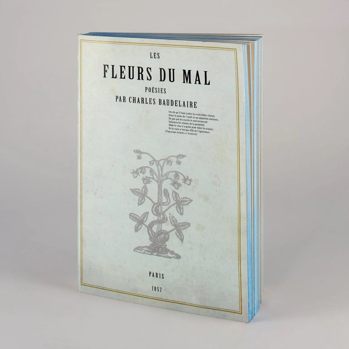 Libri Muti | Taccuini Artigianali
