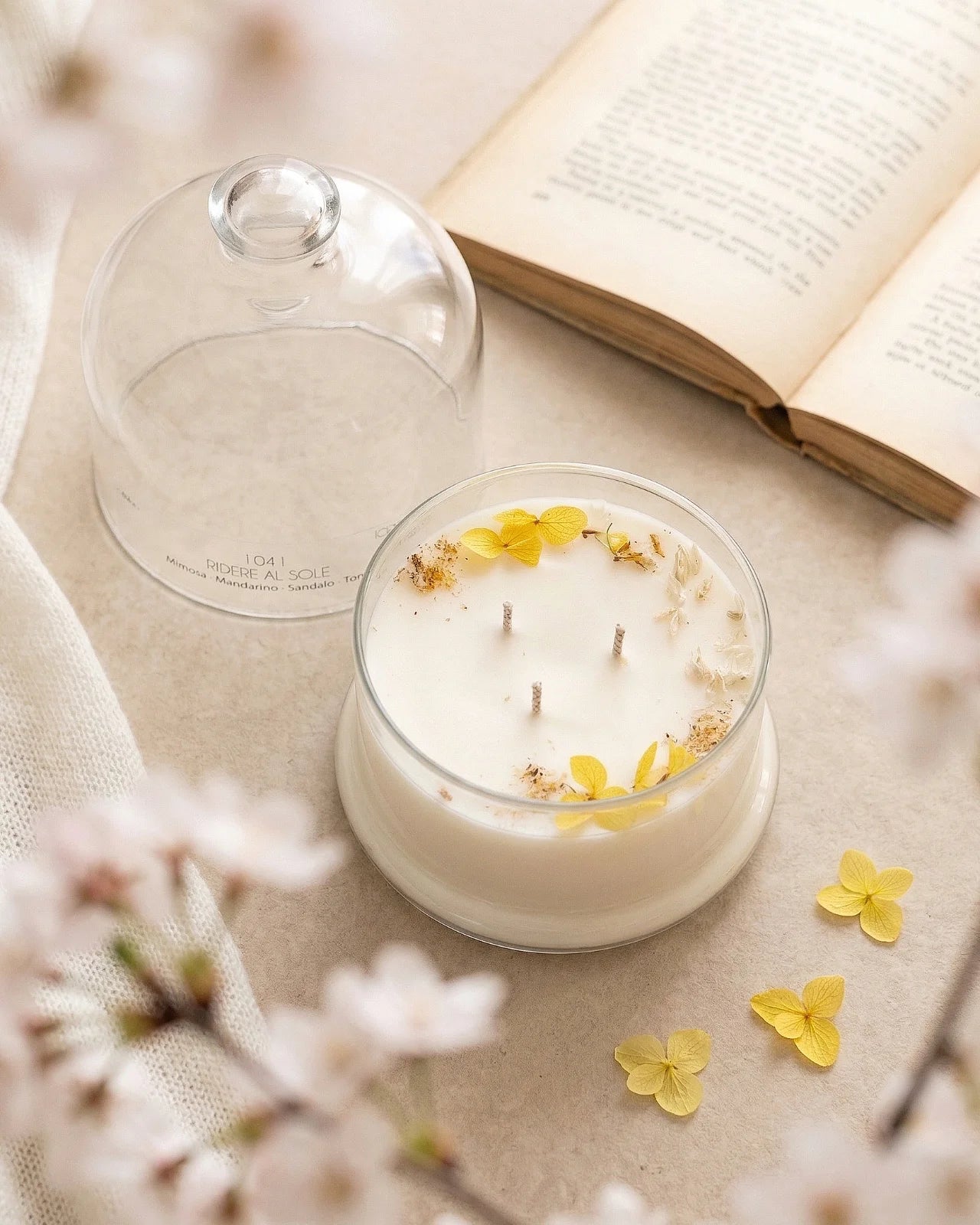 Candela profumata artigianale botanica di cera di soia in campana di vetro con  tre stoppini e composizione di petali e fiori essiccati | Profumo mimosa, mandarino, sandalo, tonka
