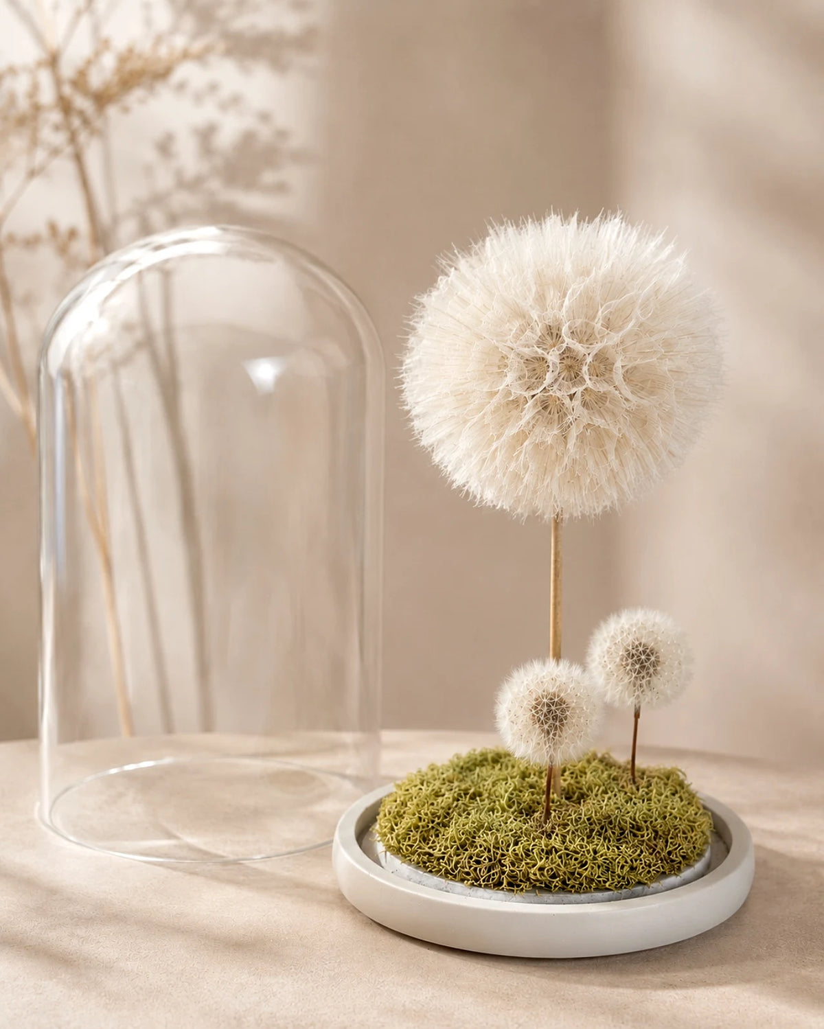 Ohana | Il Terrarium della Famiglia