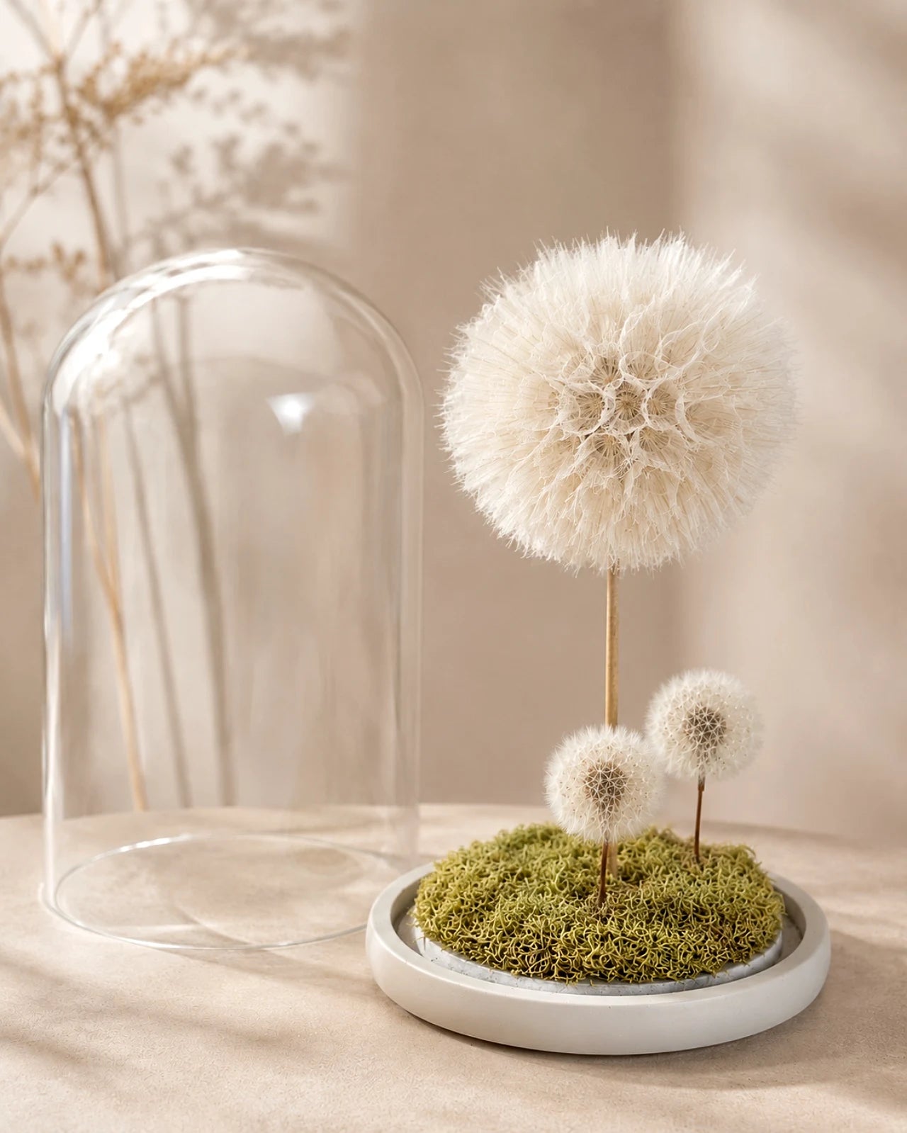 Ohana | Il Terrarium della Famiglia