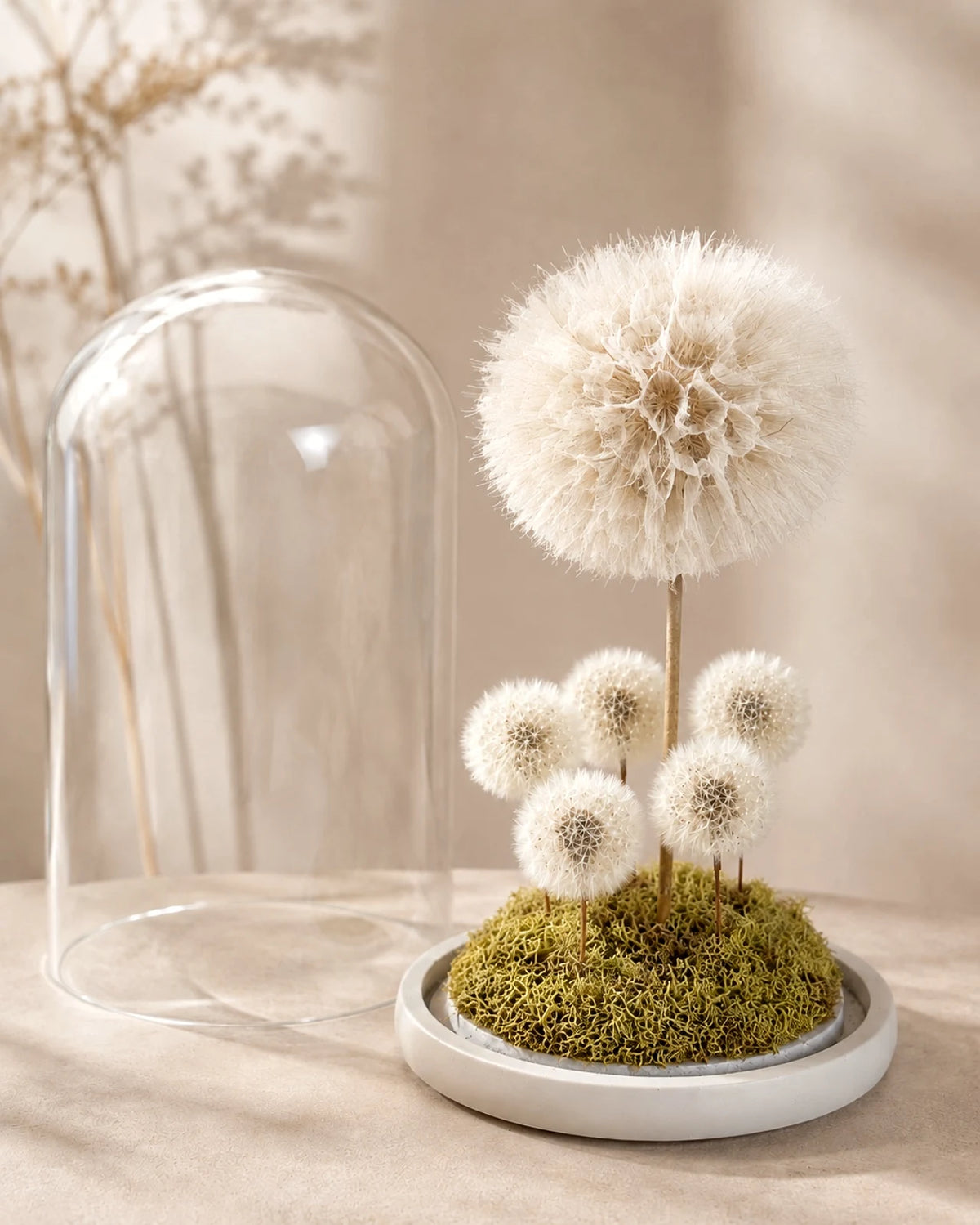 Ohana | Il Terrarium della Famiglia