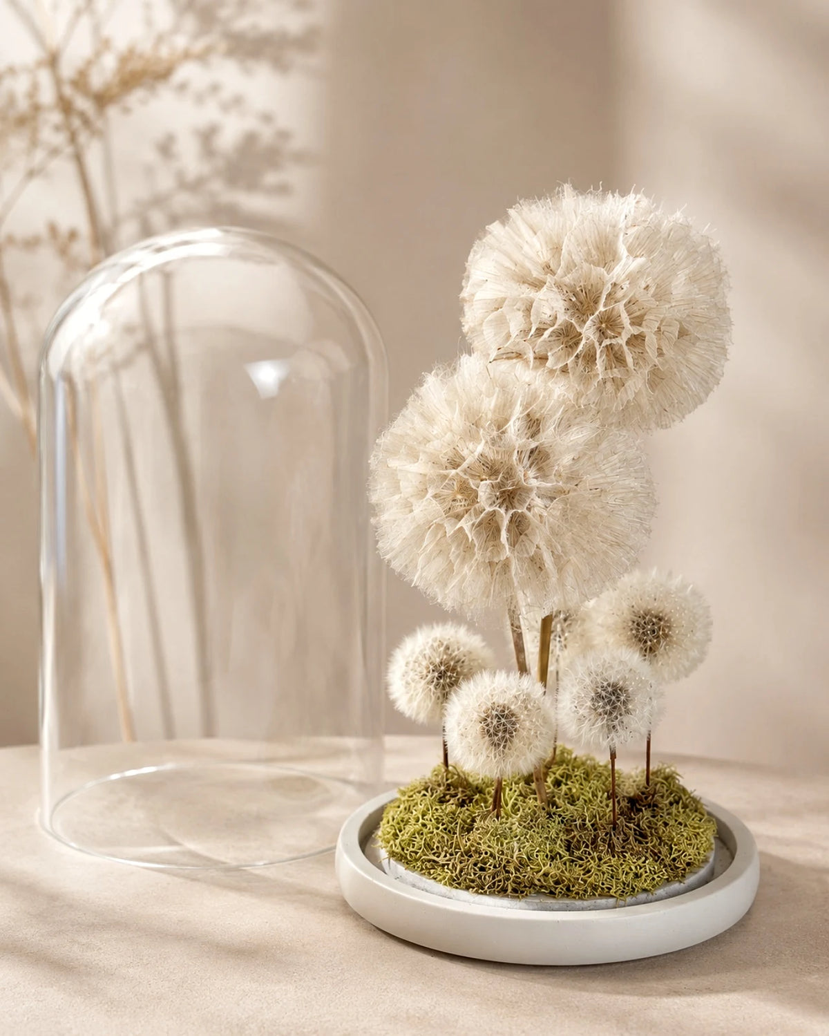 Ohana | Il Terrarium della Famiglia