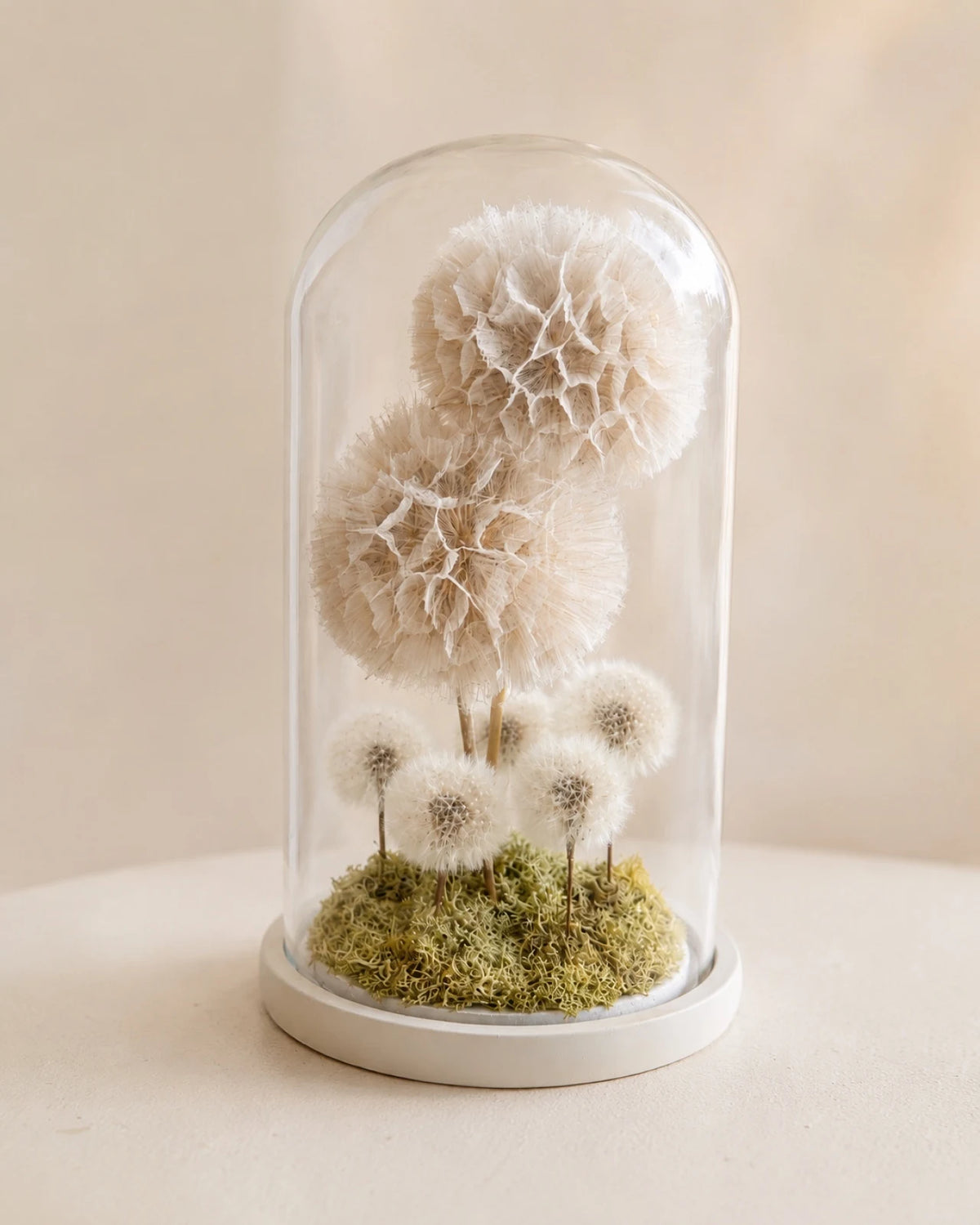 Ohana | Il Terrarium della Famiglia