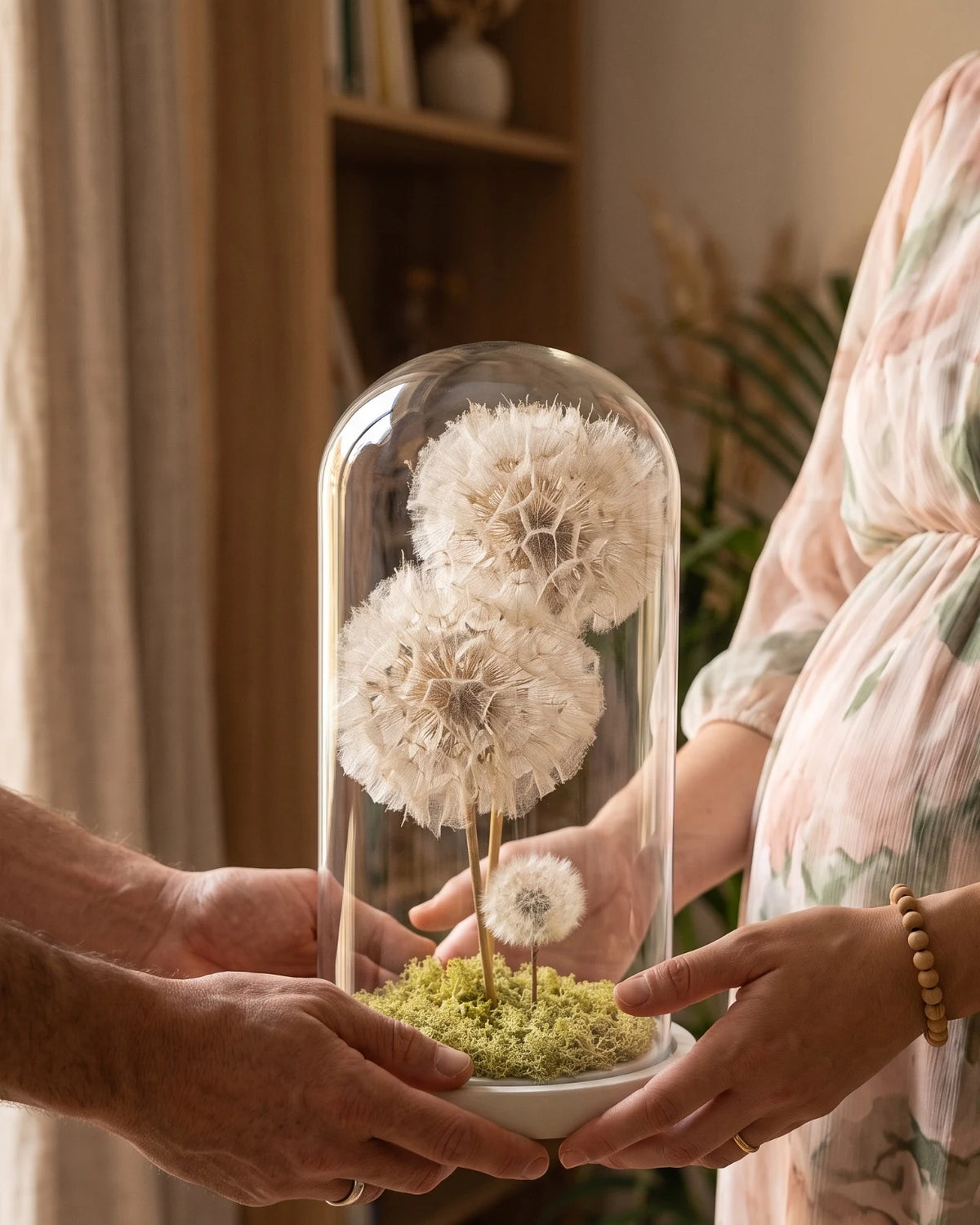 Ohana | Il Terrarium della Famiglia