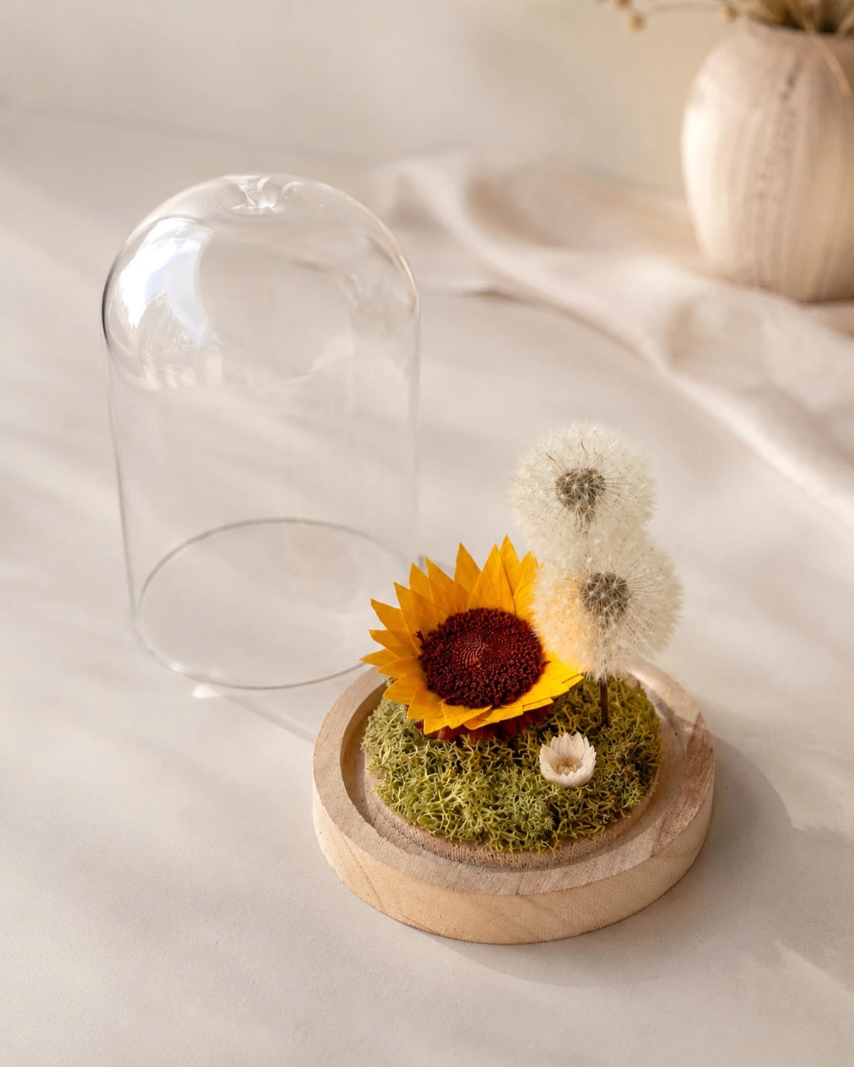 Dettaglio girasole stabilizzato e soffioni preservati in campana di vetro Alma Luciente - fiori stabilizzati artigianali