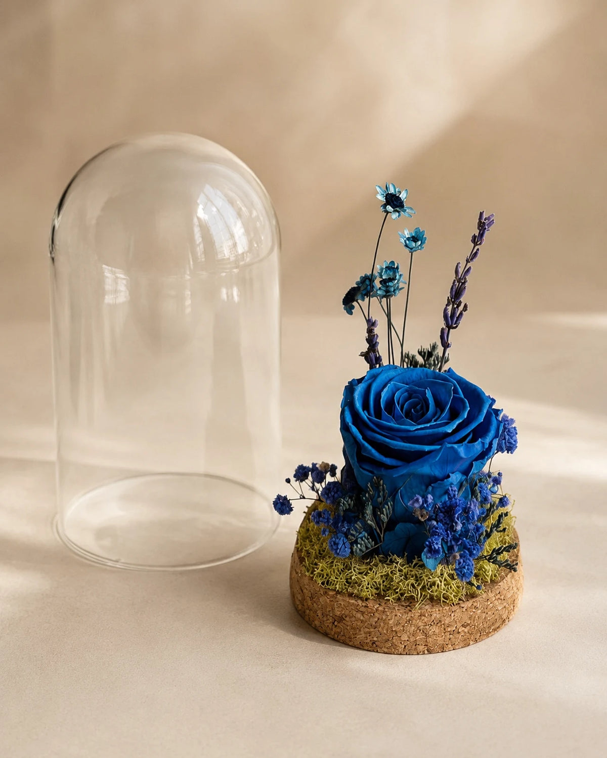 composizione di fiori stabilizzati e fiori secchi con rosa stabilizzata in campana di vetro e base di sughero colore blu - roma