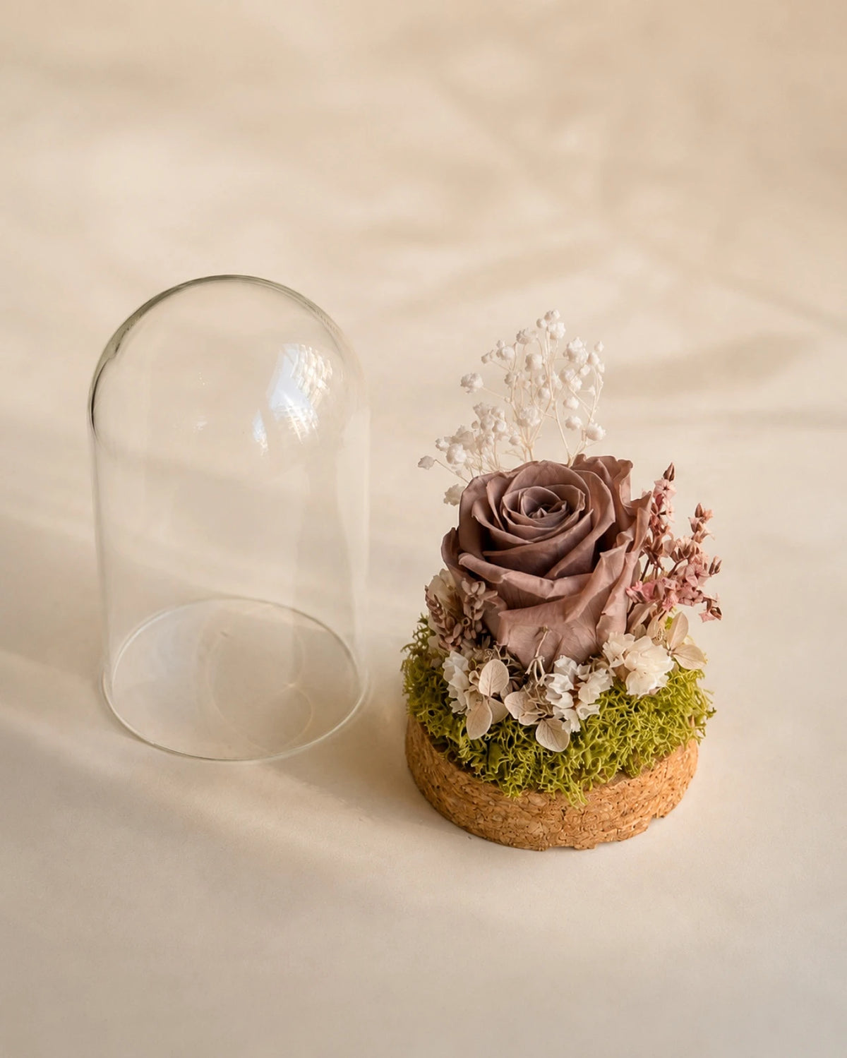 composizione di fiori stabilizzati e fiori secchi con rosa stabilizzata in campana di vetro e base di sughero colore mocha mousse - roma