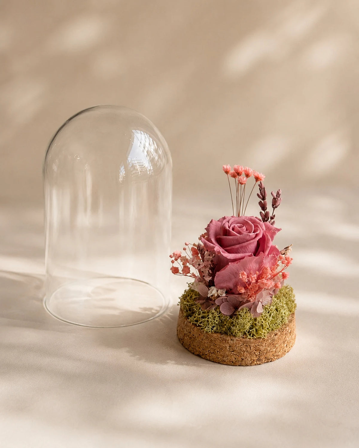 composizione di fiori stabilizzati e fiori secchi con rosa stabilizzata in campana di vetro e base di sughero colore rosa vintage - roma