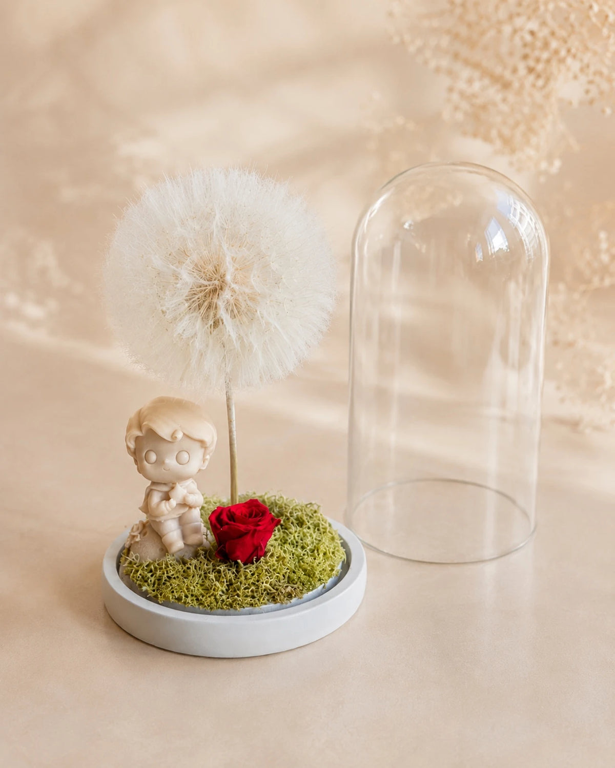 Composizione botanica in campana di vetro e base di legno con Piccolo Principe, soffione Tragopogon maxi e rosa rossa stabilizzata — L'Essentiel, Io Sono La Luce | base legno dipinto color crema