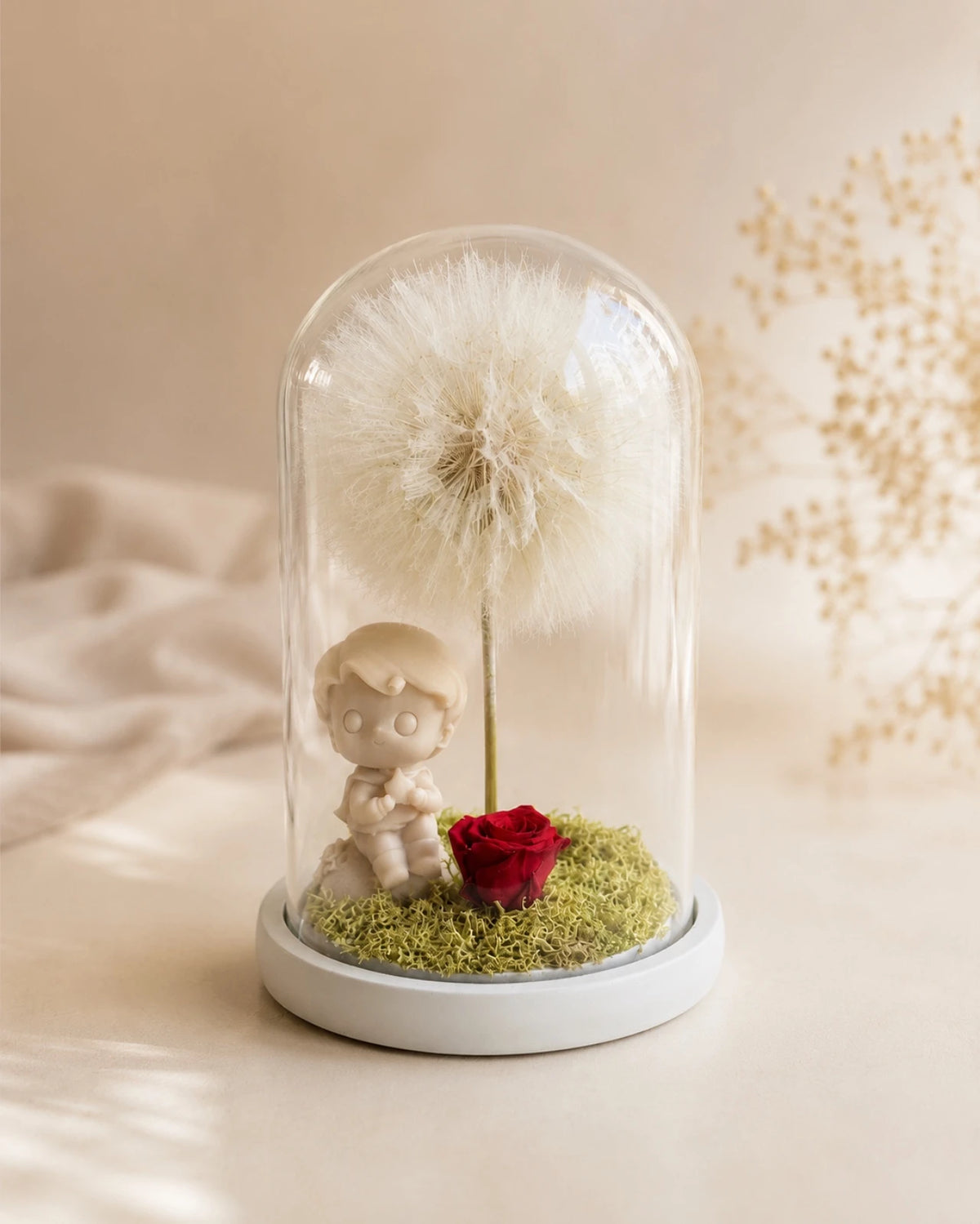 Composizione botanica in campana di vetro e base di legno con Piccolo Principe, soffione Tragopogon maxi e rosa rossa stabilizzata — L'Essentiel, Io Sono La Luce Roma