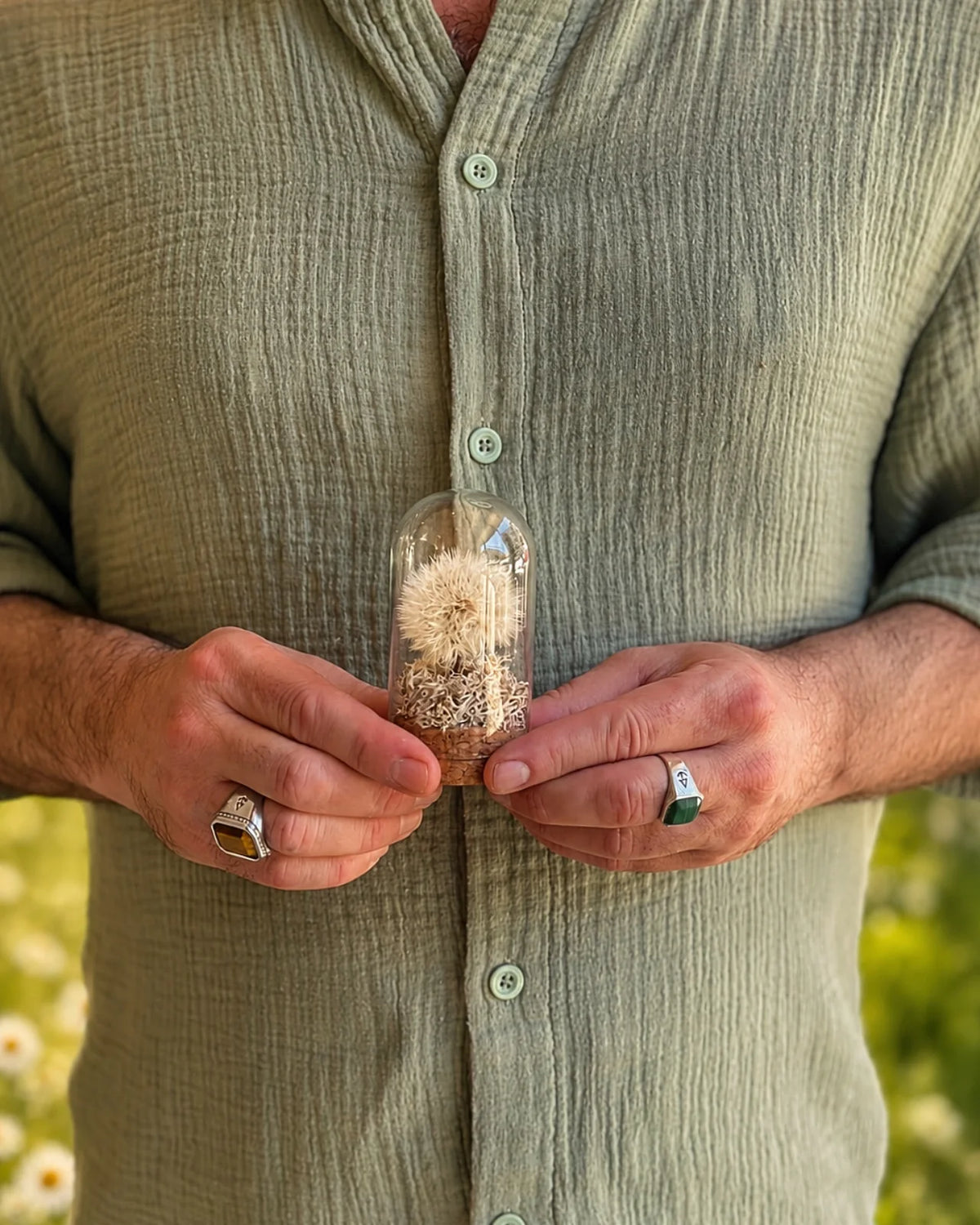 fiore dei desideri ( dandelion ), soffione preservato, versione muschio avorio