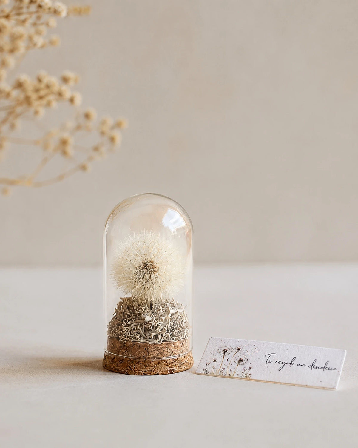 mini campana di vetro con soffione di tarassaco vero e base in sughero, simbolo di desideri e speranze: ti regalo un desiderio