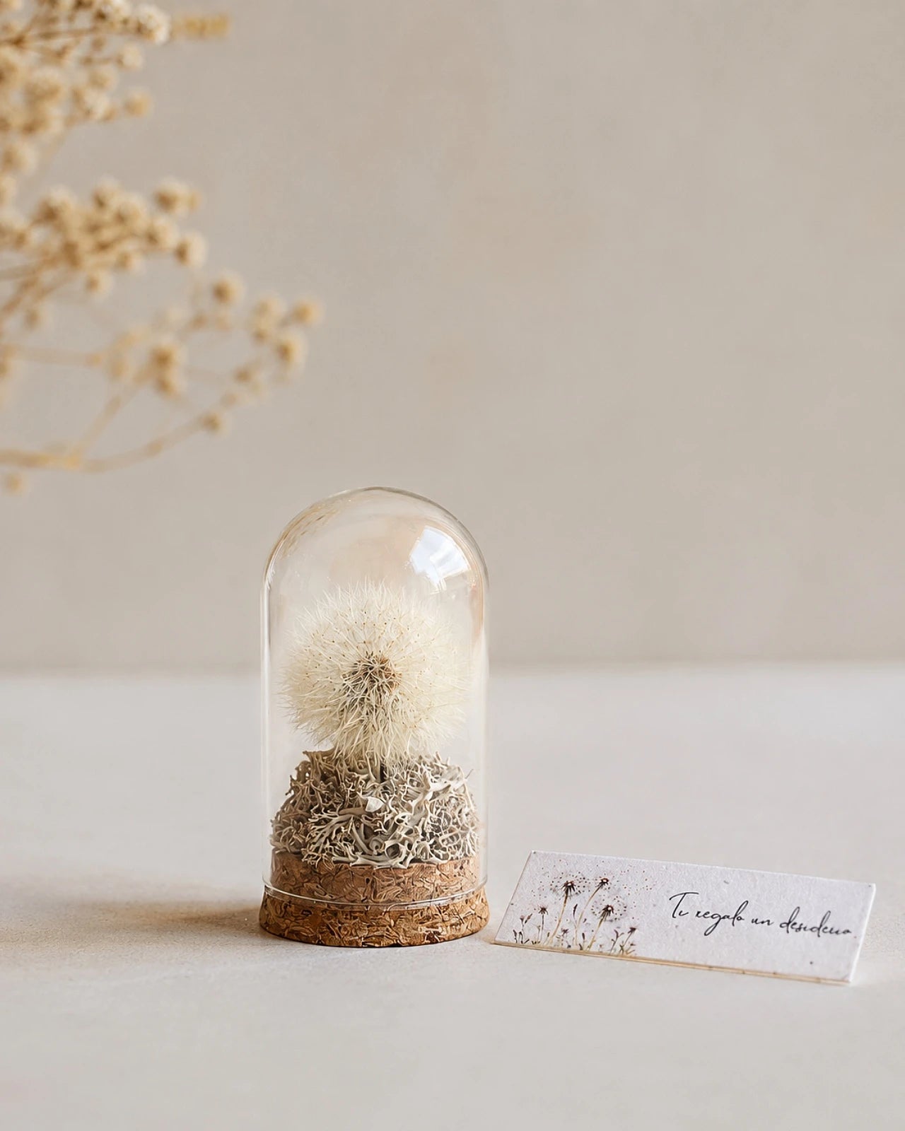 mini campana di vetro con soffione di tarassaco vero e base in sughero, simbolo di desideri e speranze: ti regalo un desiderio