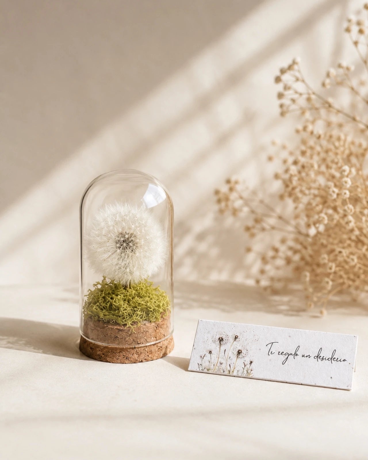 ampolla di vetro con soffione di tarassaco vero e base in sughero, simbolo di desideri e speranze: ti regalo un desiderio