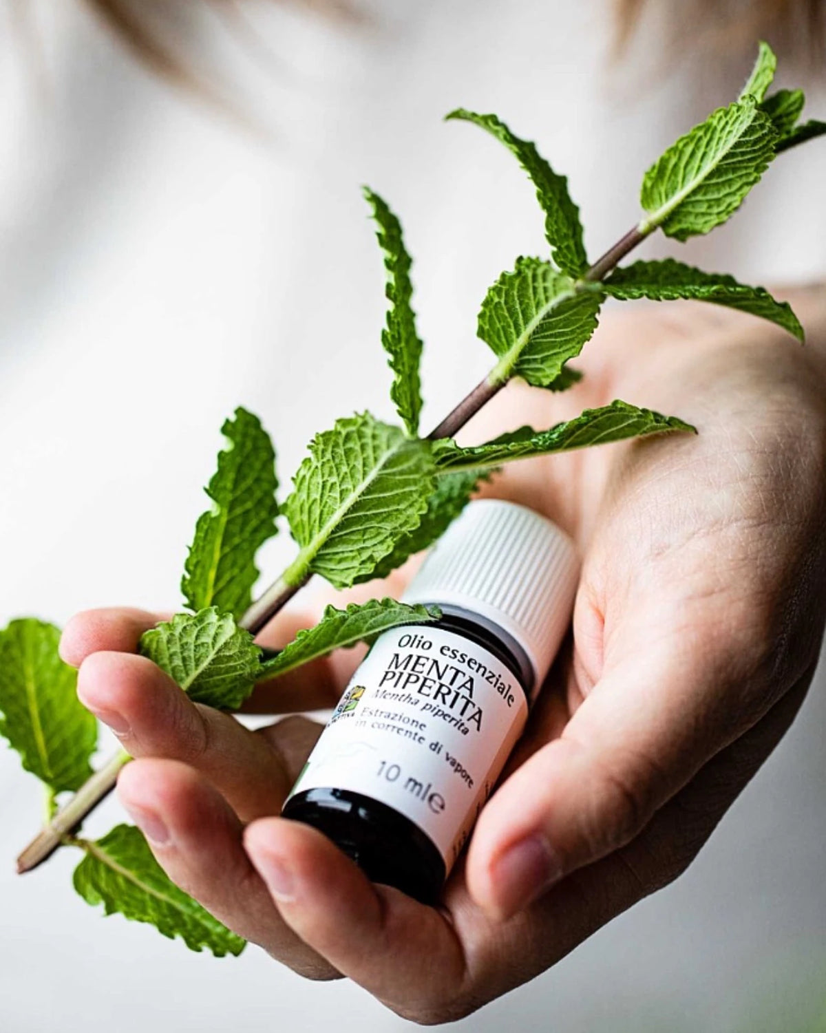 Puro olio essenziale di Menta Piperita, 100% naturale e made in italy, risveglia corpo e mente, un soffio di energia che rinfresca l'anima e dona chiarezza mentale | Io Sono La Luce Roma 