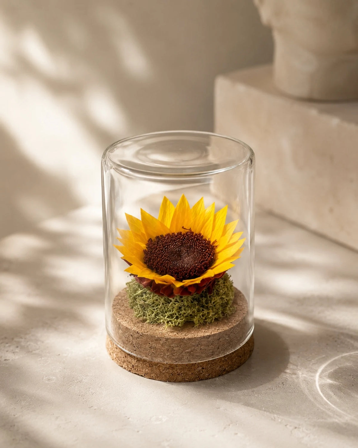 Girasole eterno sotto ampolla di vetro Soleil con muschio verde e base sughero naturale, green decor per casa Roma