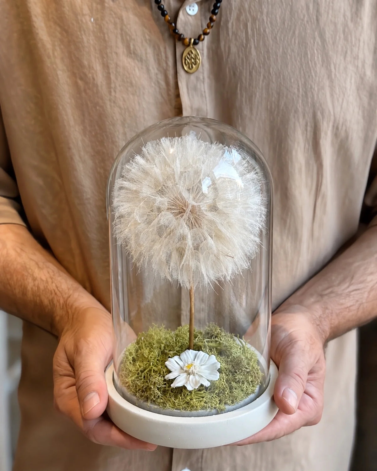soffione maxi stabilizzato ( frutto del fiore di tragopogon ) con muschio stabilizzato e glixia in campana di vetro con base di legno - misura XL | Roma